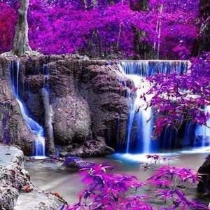 Meet your Posher, Melinda